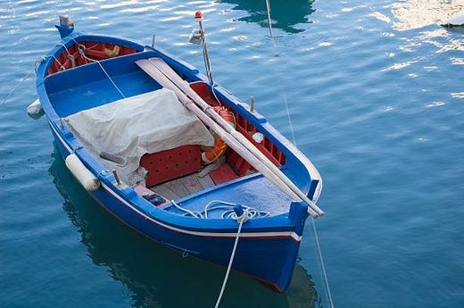 Boat Tour